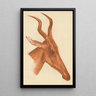 Alexandre Jacovleff - Dessins et peintures dAfrique pl 21.webp