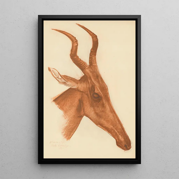 Alexandre Jacovleff - Dessins et peintures dAfrique pl 21.webp