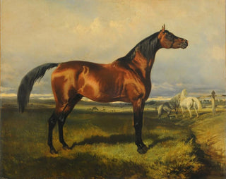 Paarden in vrijheid - Alfred de Dreux — weergave van het kunstwerk