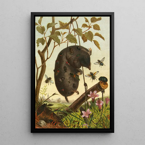 Alfred Edmund Brehm - Die Insekten Tausendfussler und Spinnen Pl 04.webp