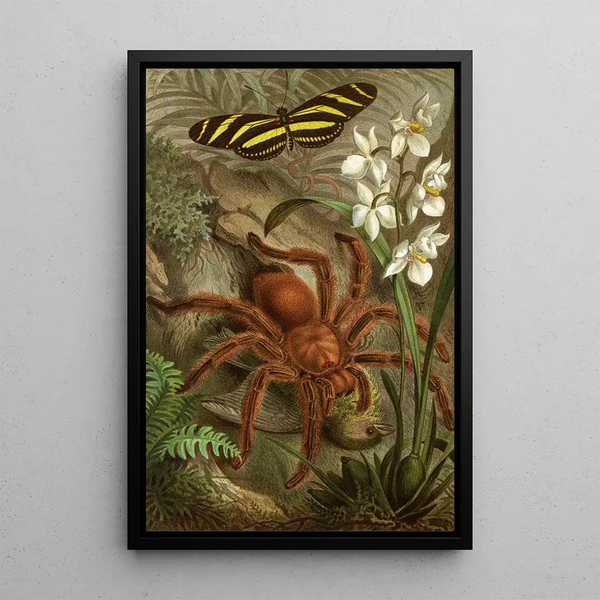 Alfred Edmund Brehm - Die Insekten Tausendfussler und Spinnen Pl 21.webp