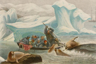 Alfred Frdol - Chasse aux Morses.webp