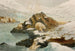 Witte beren - Alfred Frödl — weergave van het kunstwerk