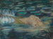 Ophelia - Alice Pike Barney — weergave van het kunstwerk