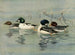 GoldenEye Barrows - Allan Brooks — weergave van het kunstwerk