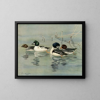 Allan Brooks - GoldenEye Barrows GoldenEye.webp