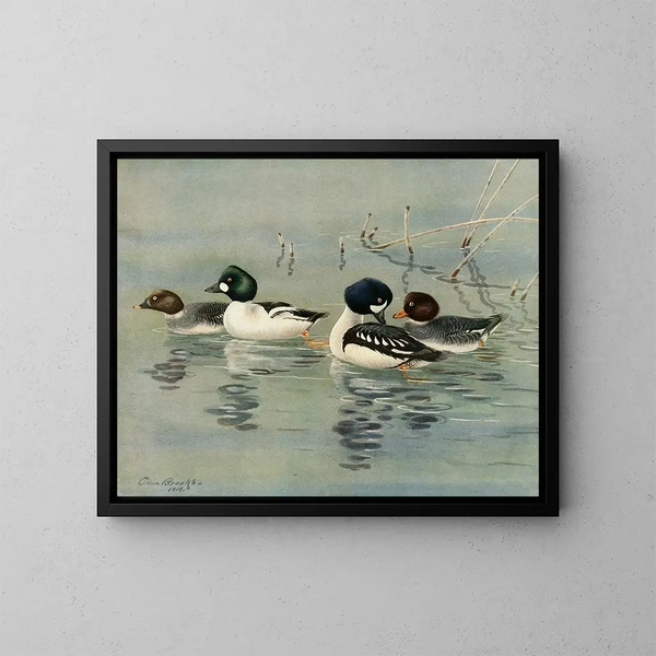 GoldenEye Barrows - Allan Brooks — ingelijst kunstwerk aan de muur
