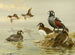 Kanarie met harlekijn - Allan Brooks — weergave van het kunstwerk