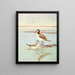 Phalarope de Wilson - Allan Brooks — ingelijst kunstwerk aan de muur
