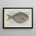 Poisson-butter - Allen Ginter — ingelijst kunstwerk aan de muur
