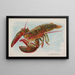 Homard - Allen Ginter — ingelijst kunstwerk aan de muur