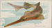 Poisson-scie - Allen Ginter — weergave van het kunstwerk