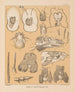 De fauna van de grotten van Noord-Amerika Pl 22 - Alpheus Spring Packard — weergave van het kunstwerk