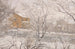 Sneeuw uitzicht vanuit het atelierraam - Amaldus Nielsen — weergave van het kunstwerk