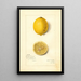 Reproductie van het schilderij Citrus limon Villa France - Amanda Almira Newton
