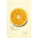 Reproductie van het schilderij Citrus paradisi Navel - Amanda Almira Newton