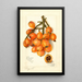 Reproductie van het schilderij Eriobotrya japonica Baronne Hall - Amanda Almira Newton