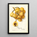 Reproductie van het schilderij Eriobotrya japonica Tanaka - Amanda Almira Newton