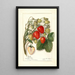 Reproductie van het schilderij Fragaria Berlin - Amanda Almira Newton