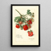 Fragaria Mrs - Amanda Almira Newton — ingelijst kunstwerk aan de muur