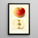 Malus domestica Banana - Amanda Almira Newton — ingelijst kunstwerk aan de muur