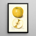Malus domestica White Pippin - Amanda Almira Newton — ingelijst kunstwerk aan de muur