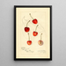 Reproductie van het schilderij Prunus avium Centennial - Amanda Almira Newton