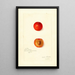 Reproductie van het schilderij Prunus domestica Wild Goose - Amanda Almira Newton