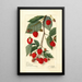 Rubus - Amanda Almira Newton — ingelijst kunstwerk aan de muur