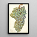 Reproductie van het schilderij Vitis Almeria - Amanda Almira Newton