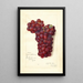 Reproductie van het schilderij Vitis Mammoth Delaware - Amanda Almira Newton