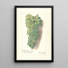 Reproductie van het schilderij Vitis Muscat St - Amanda Almira Newton