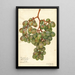 Vitis Muscat d'Alexandrie - Amanda Almira Newton — ingelijst kunstwerk aan de muur