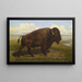 The American Bison at Jackson Hole, Yellowstone - American School — framed artwork on a wall