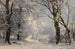 Winterbos - Anders Andersen-Lundby — weergave van het kunstwerk
