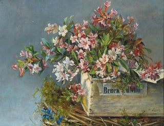 Andreas Lach - Alpine Roses In A Window Box.webp