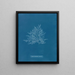 Callithamnion Pink Painting - Anna Atkins — framed artwork on a wall