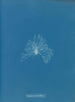Een waterdichte keramiek - Anna Atkins — weergave van het kunstwerk