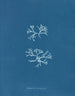 Chondrus norvegicus - Anna Atkins — weergave van het kunstwerk