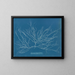 Chordaria flagelliformis - Anna Atkins — ingelijst kunstwerk aan de muur
