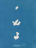 Adhérer au code - Anna Atkins — weergave van het kunstwerk