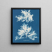 Sinuos naakt schilderij - Anna Atkins — ingelijst kunstwerk aan de muur