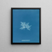 Delesseria sinuosa var. - Anna Atkins — ingelijst kunstwerk aan de muur