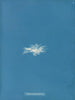 Enteromorpha clathrata - Anna Atkins — weergave van het kunstwerk
