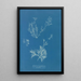 Reproductie van het schilderij Exilaria crystallinum parasitique - Anna Atkins