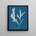 Zaagblad - Anna Atkins — ingelijst kunstwerk aan de muur
