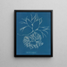 Furcellaria fastigiata - Anna Atkins — ingelijst kunstwerk aan de muur