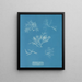 Gelidium corneum var. - Anna Atkins — ingelijst kunstwerk aan de muur