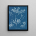 van de rijp op de neus - Anna Atkins — ingelijst kunstwerk aan de muur