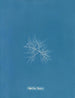 C'est à toi - Anna Atkins — weergave van het kunstwerk
